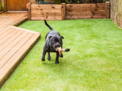 Artificial Grass Installation